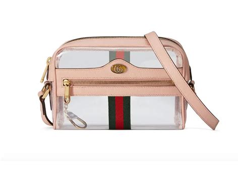 gucci bag transparet|Gucci small ophidia bag.